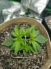 20170630_054111.jpg