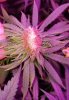 20170701_132527.jpg