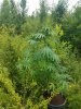20170701_134322.jpg