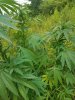 20170701_134329.jpg