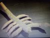 1ScorpionJ.jpg