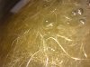 07.01_3x3roots.2.jpg