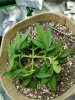 20170702_193907.jpg