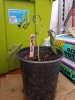 20170702_134046.jpg