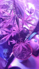 upload_2017-7-3_18-57-57.png upload_2017-7-3_18-57-57.png