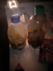 IMG_20170704_094633.jpg