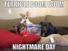 how-dogs-see-the-fourth-of-july-meme.jpg