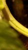 20170705_214005.jpg