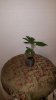 20170706_093706.jpg 20170706_093706.jpg
