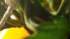 20170706_151257.jpg