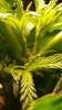 20170705_220424.jpg