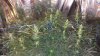 20170707_165620.jpg