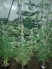 20170708_175343.jpg