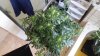 20170709_104826.jpg