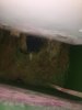 IMG_0484.JPG IMG_0484.JPG