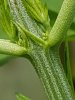20170710_122954.jpg