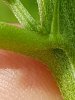 20170710_123037.jpg