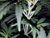 20170701_093305.jpg