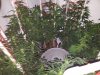 20170708_103632.jpg