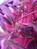20170716_020853.jpg