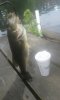 Resized_20170701_113635.jpeg