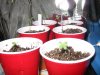 grow room 004.jpg