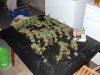 march 14 09 006.jpg