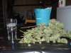 march 14 09 004.jpg