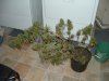 march 14 09 014.jpg