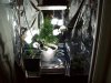 100_0010.jpg