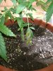 IMG_20170722_225159.jpg