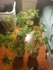 20170721_085009.jpg