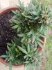 20170724_153344.jpg