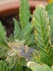 20170724_152638.jpg