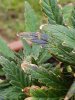 20170724_153218.jpg
