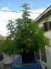 IMG_20170724_185210.jpg