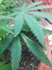 20170724_144648.jpg
