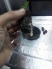 20170727_045605.jpg