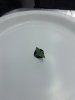 20170727_054306.jpg