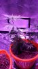 20170727_140427.jpg