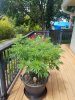 20170727_131115.jpg