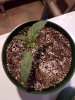 20170728_192348.jpg 20170728_192348.jpg