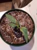 20170728_192357.jpg 20170728_192357.jpg