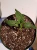 20170728_192547.jpg 20170728_192547.jpg