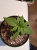 20170728_192717.jpg 20170728_192717.jpg