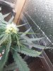 20170729_011408.jpg