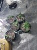 20170729_201433.jpg