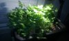 20161204_234006.jpg