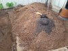 20170801_164730.jpg 20170801_164730.jpg