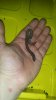 20170802_152155.jpg